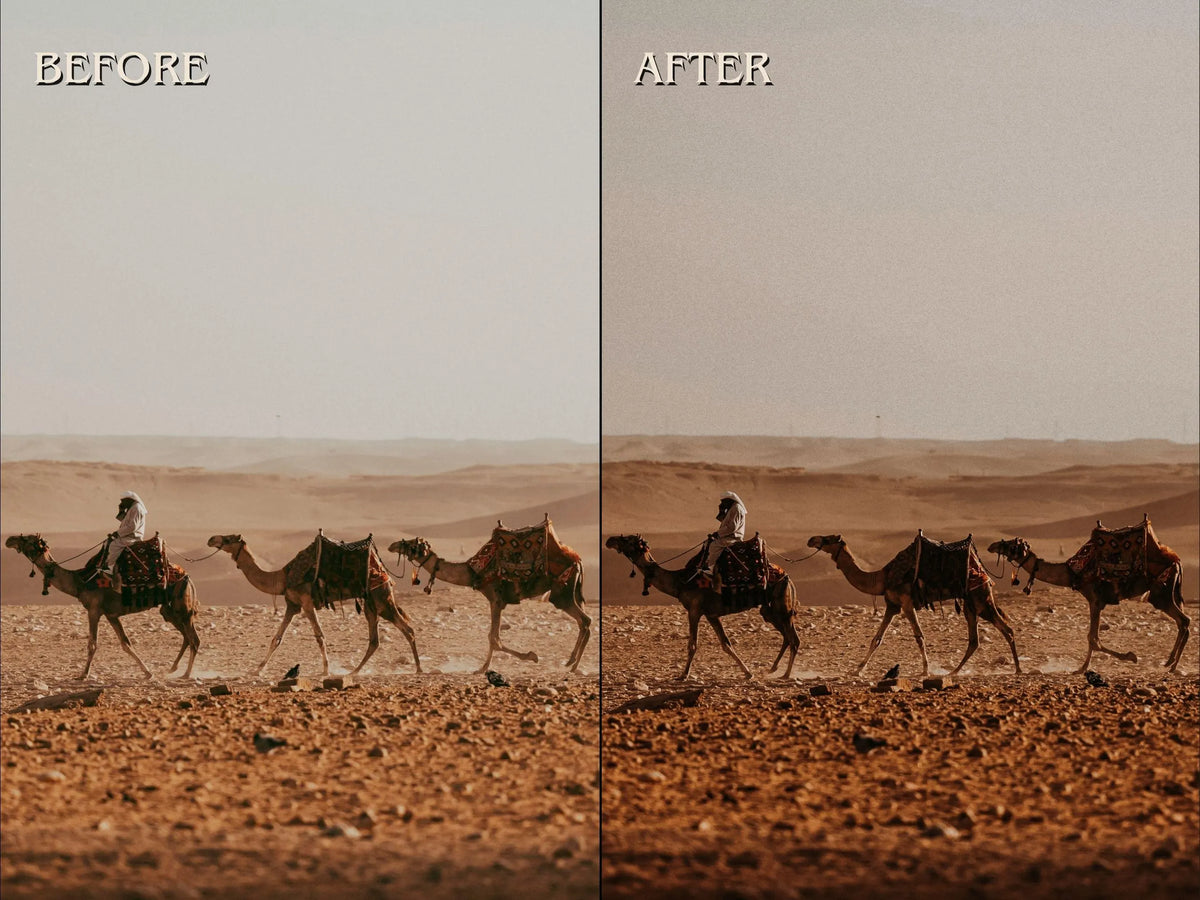 30+ DESERT Lightroom Presets (Mobile & Desktop)