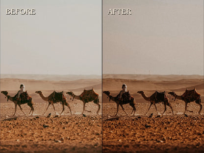30+ DESERT Lightroom Presets (Mobile & Desktop)