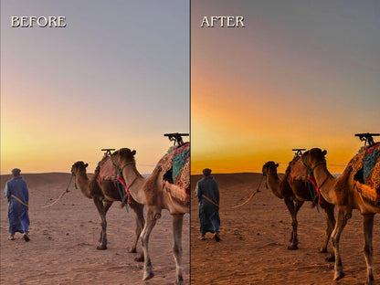 30+ DESERT Lightroom Presets (Mobile & Desktop)