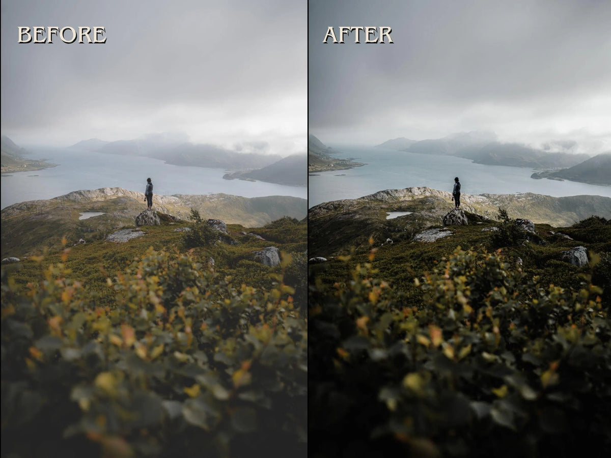 20+ NORDIC Lightroom Presets (Mobile & Desktop)