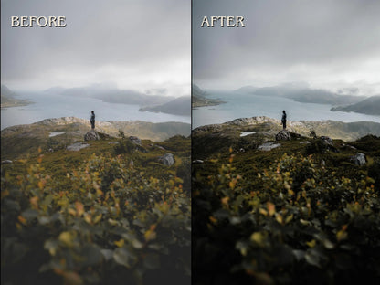 20+ NORDIC Lightroom Presets (Mobile & Desktop)