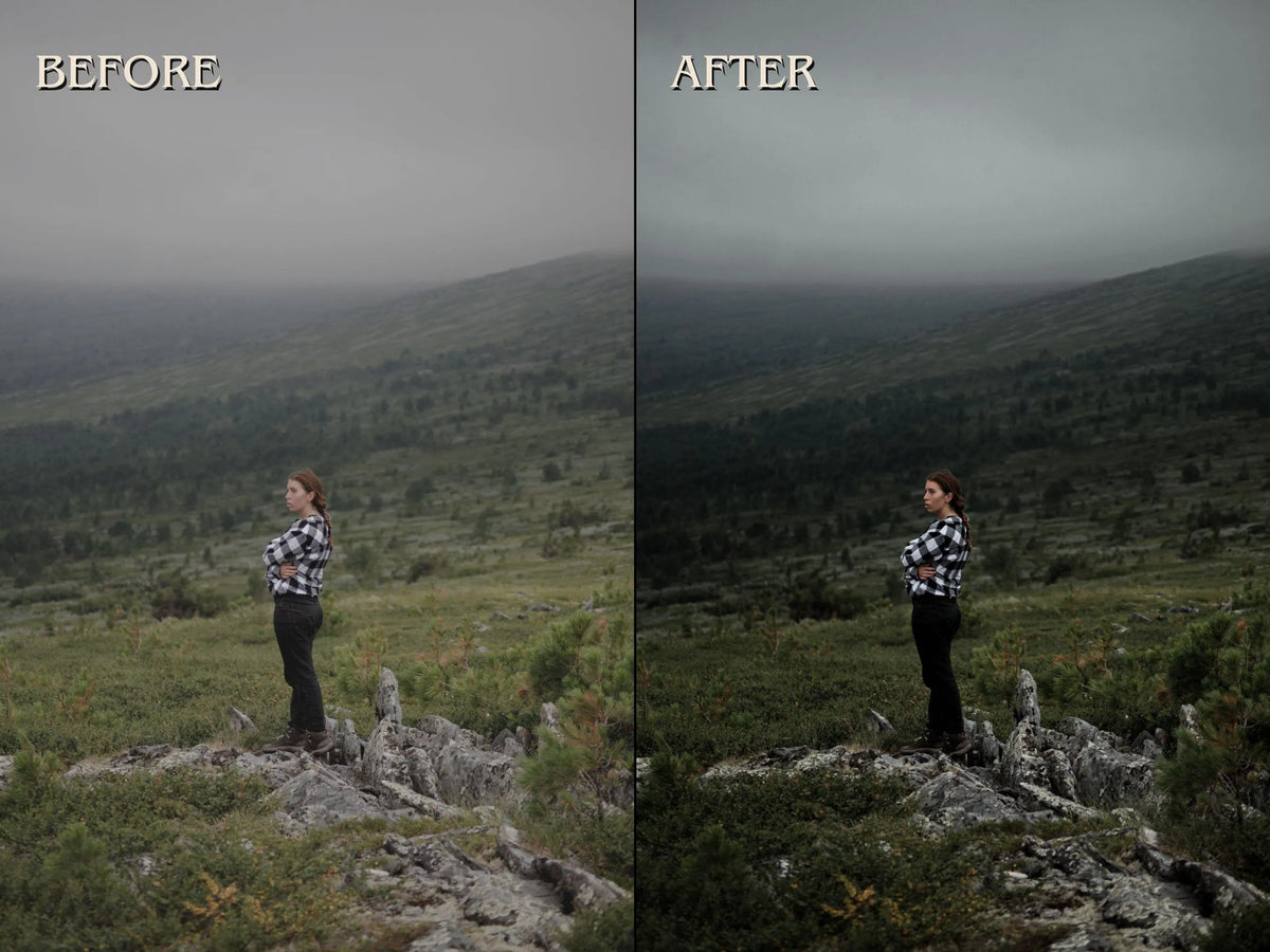 20+ NORDIC Lightroom Presets (Mobile & Desktop)
