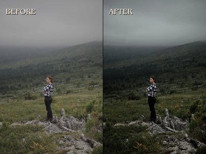 20+ NORDIC Lightroom Presets (Mobile & Desktop)