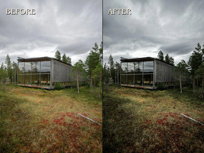 20+ NORDIC Lightroom Presets (Mobile & Desktop)