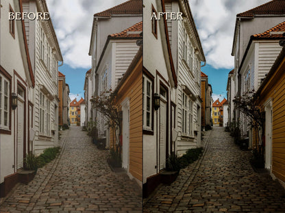 20+ NORDIC Lightroom Presets (Mobile & Desktop)