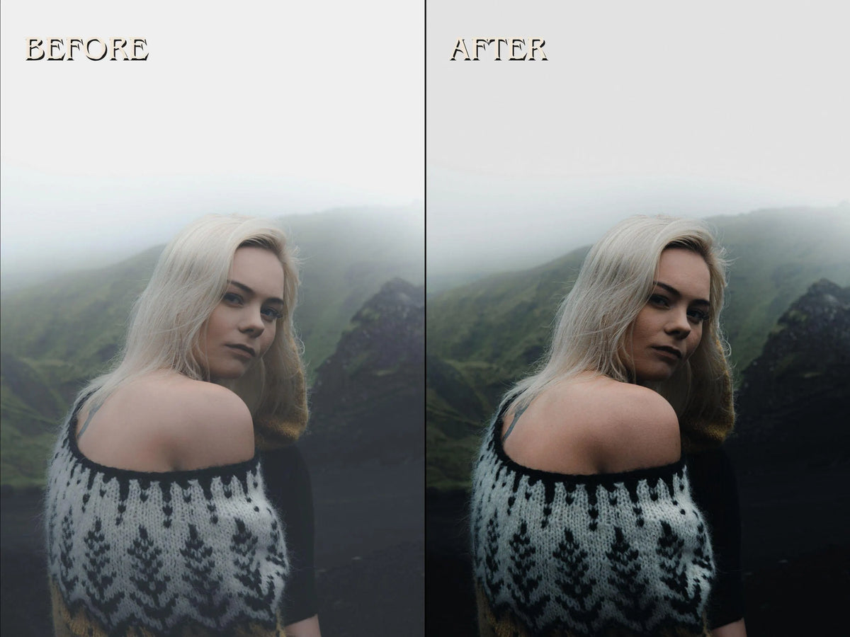 20+ NORDIC Lightroom Presets (Mobile & Desktop)