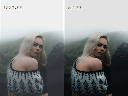 20+ NORDIC Lightroom Presets (Mobile & Desktop)
