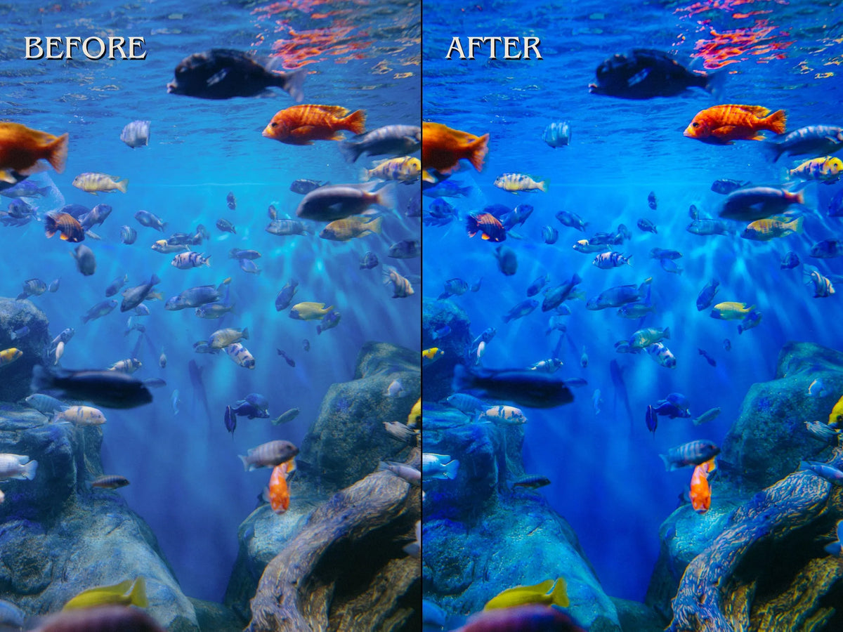 40+ DIVING Lightroom Presets (Mobile & Desktop)