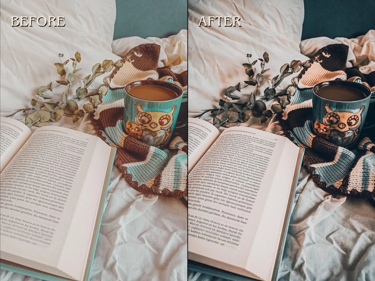 40+ DARK BOOKSTAGRAM Lightroom Presets (Mobile & Desktop)