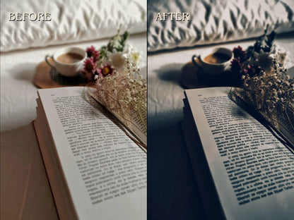 40+ DARK BOOKSTAGRAM Lightroom Presets (Mobile & Desktop)
