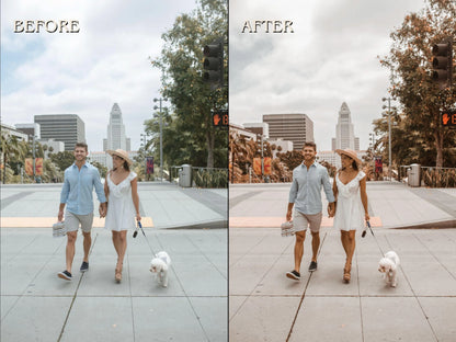 40+ CALIFORNIA Lightroom Presets (Mobile & Desktop)
