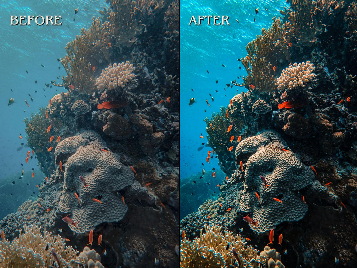 40+ DIVING Lightroom Presets (Mobile & Desktop)
