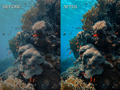 40+ DIVING Lightroom Presets (Mobile & Desktop)