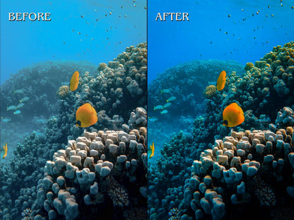 40+ DIVING Lightroom Presets (Mobile & Desktop)