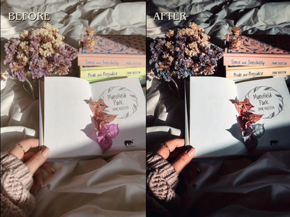 40+ DARK BOOKSTAGRAM Lightroom Presets (Mobile & Desktop)